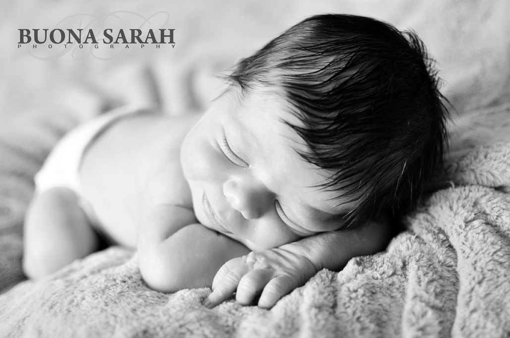 newborn portraits tulsa 